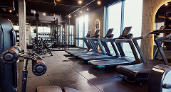 Fitness